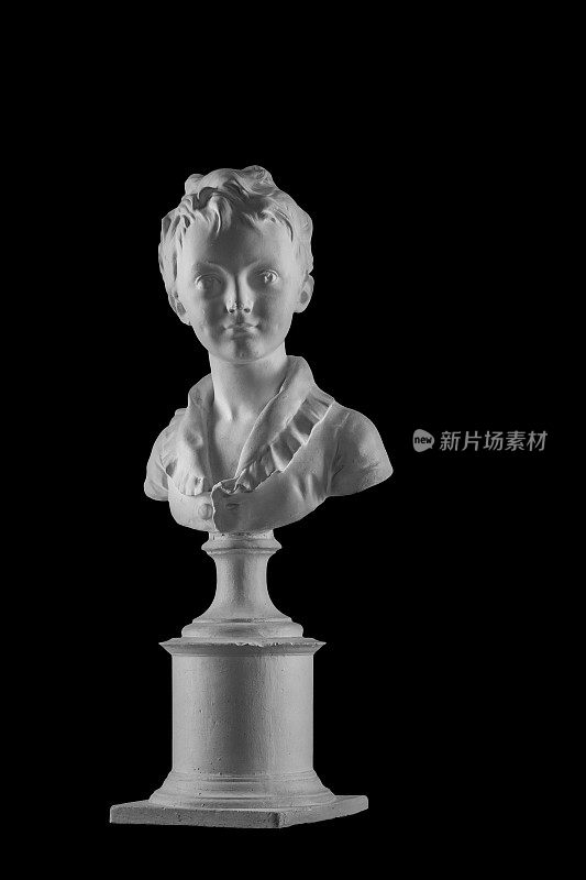 石膏人像的一个男孩半身像，肖像Brozhinar Alexander，建筑师Bronyart的儿子。Jean Antoine Houdon的作品。